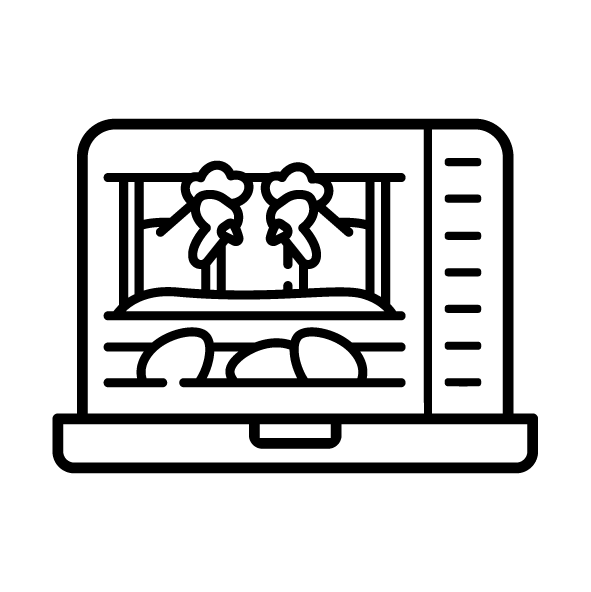 مدیریت فارم مرغداری